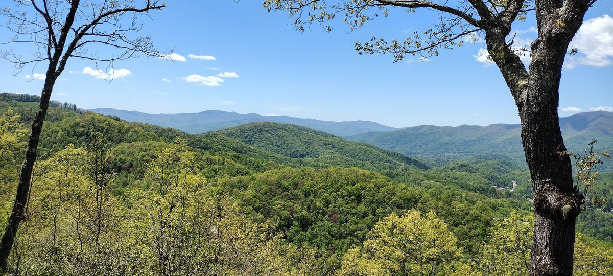 Sylvia is a beautiful place in the Spring! #ncwx 🌳🌺🌤️