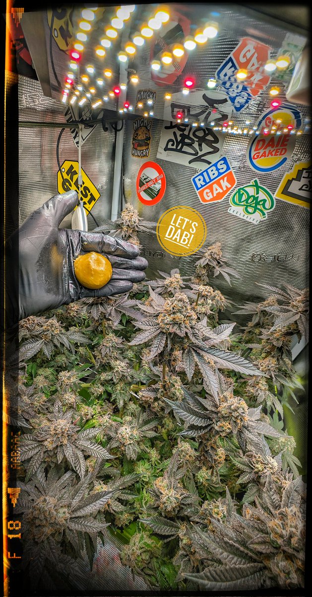 Dab Time! 🤏⌚

#nyc420allday #irishcannabis #rosin #dabtime #growyourown #growathome #cannabiscommunity #cannaland #grower #canna #growmies #hashrosin