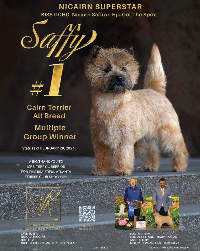 BISS GCHG NICAIRN SAFFRON HJO GOT THE SPIRIT

Hello Saffy⭐

t.ly/T9tLh
showsightmagazine.com/cairn-terrier.…

#cairnterrier #cairn #purebred #dogshow #dogshow2024 #bestinshow #bestinshowsight #showsightmag