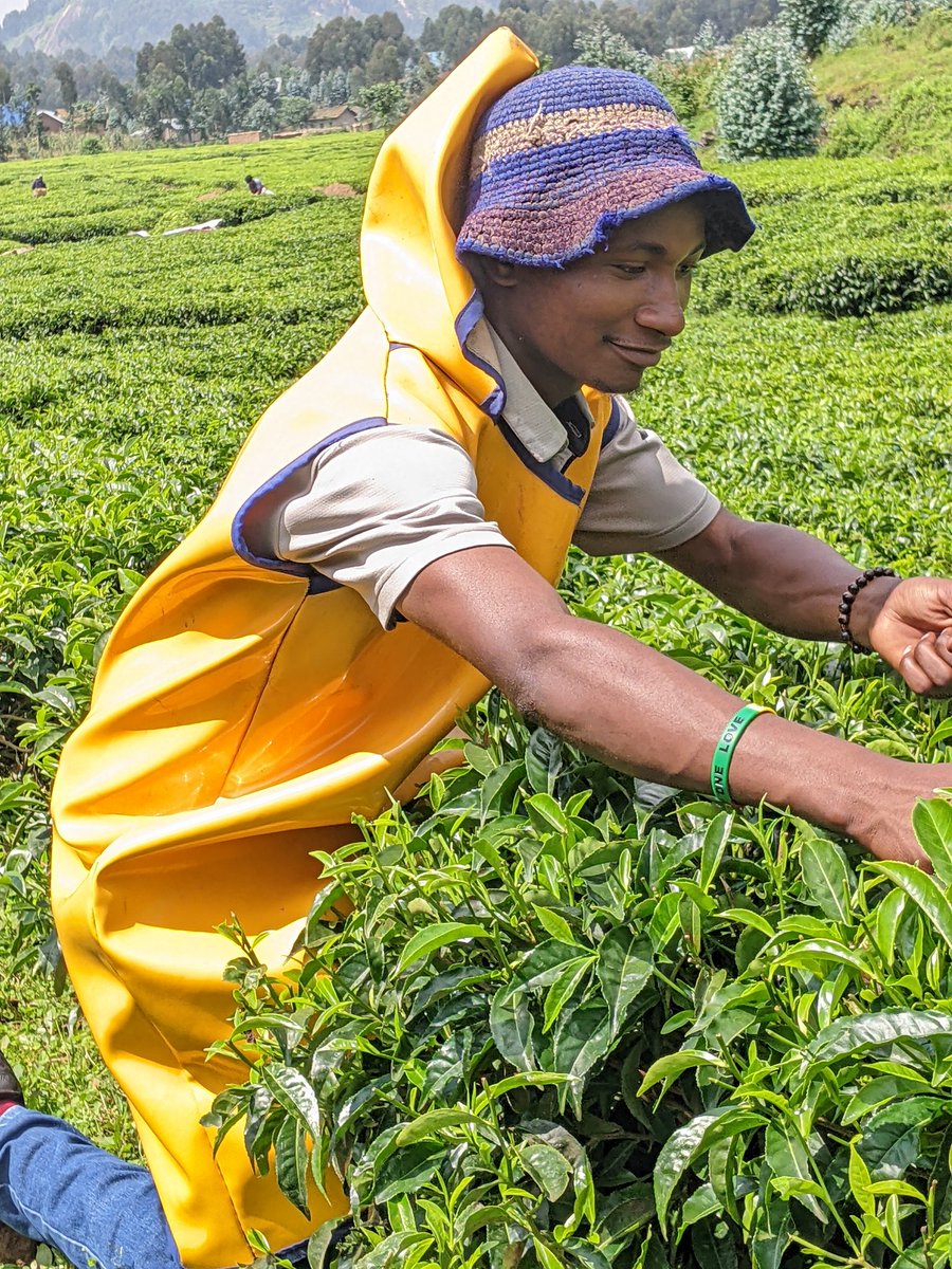 They are known examples of people who died because of hunger but many people saved through the tireness and sweatness of #Farmers. I'm proudly to say that farmers are #Heroes of the world. If you agree with me : like, repost and Quote #Happynewmonth #LabourDay2024 #GoodFood4All