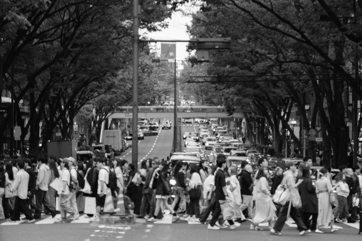 白多めやね

#fujifilm 
#寫芯部
#monochrome