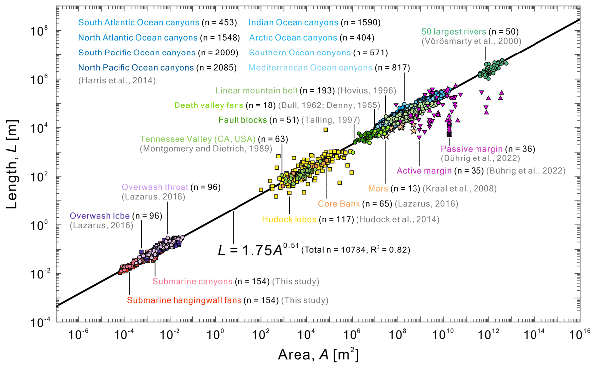 David Amblas tweet media