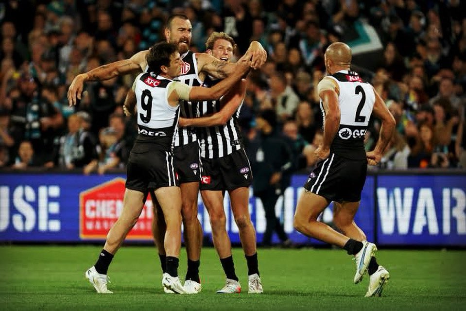 For those counting, tonight will be the third Showdown in a row that we won’t be wearing our traditional guernsey. The official club petition was for the guernsey to be worn in all Showdowns. 

#WeArePortAdelaide #HeritageMatters #Showdown #AFLCrowsPort #PortAdelaide #PAFC
