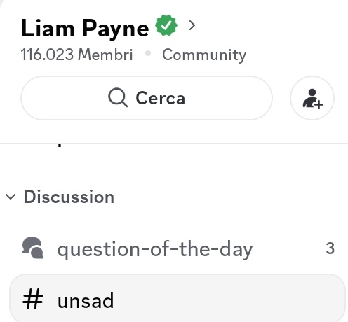 New channel on Liam Payne's discord called 'unsad'