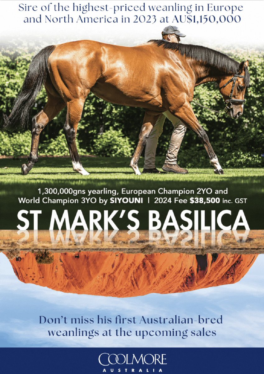 St Marks Basilica World Champion 3YO, European Champion 2YO & Cartier Horse Of The Year WON Gr.1 Dewhurst Stakes WON Gr.1 French 2,000 Guineas WON Gr.1 Prix du Jockey Club WON Gr.1 Eclipse Stakes WON Gr.1 Irish Champion Stakes