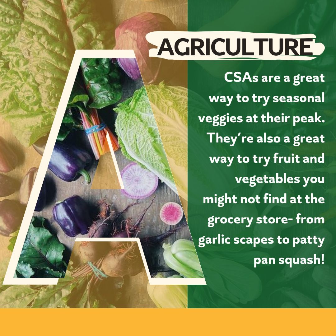 Community Supported Agriculture shares are a great way to get seasonal veggies and form relationships with farmers. You can use Produce Perks at participating farms to get a discount on  you CSA share!