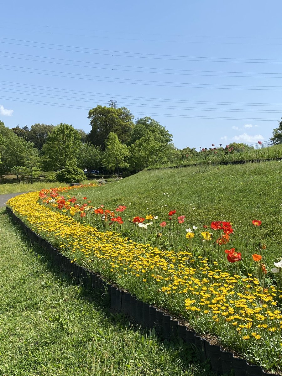 おはよう😃
@BOGUMMY 🌼

☁️空から☀️になりそうかな😊
お天気も気分も⤴️になるように✌️

花道🌼☘️🌹🍀🌷🌿
一緒に歩きましょう♪

Today is A GOOD DAY❣️
bogummy♪bogoshipoyo〜💞
#ParkBoGum  #パクボゴム