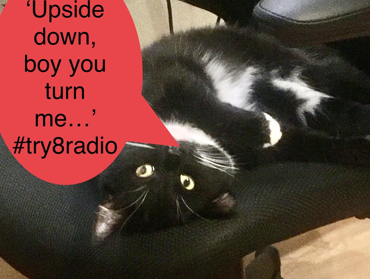 On tonight's show at 8 on @8RadioIreland you are going to hear tunes from @fontainesdublin @PaulBuchananBN @FirstAidKitBand Chanel Beads @PillowQueens @mitskileaks @annacalvi @shobsymusic @erasureinfo @Tim_Burgess @soundsofsystem @TheRealYLT @postlastmusic @angusandjulia ❤️