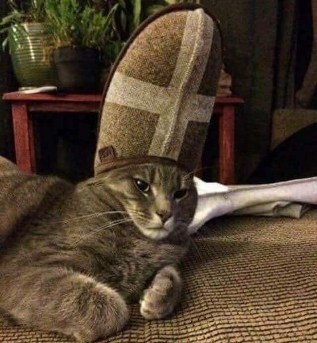 Night dear 😴 “Why is this slipper on my head, Sandra? Say 3 Hell Mary’s and a couple of Hello Dollys”