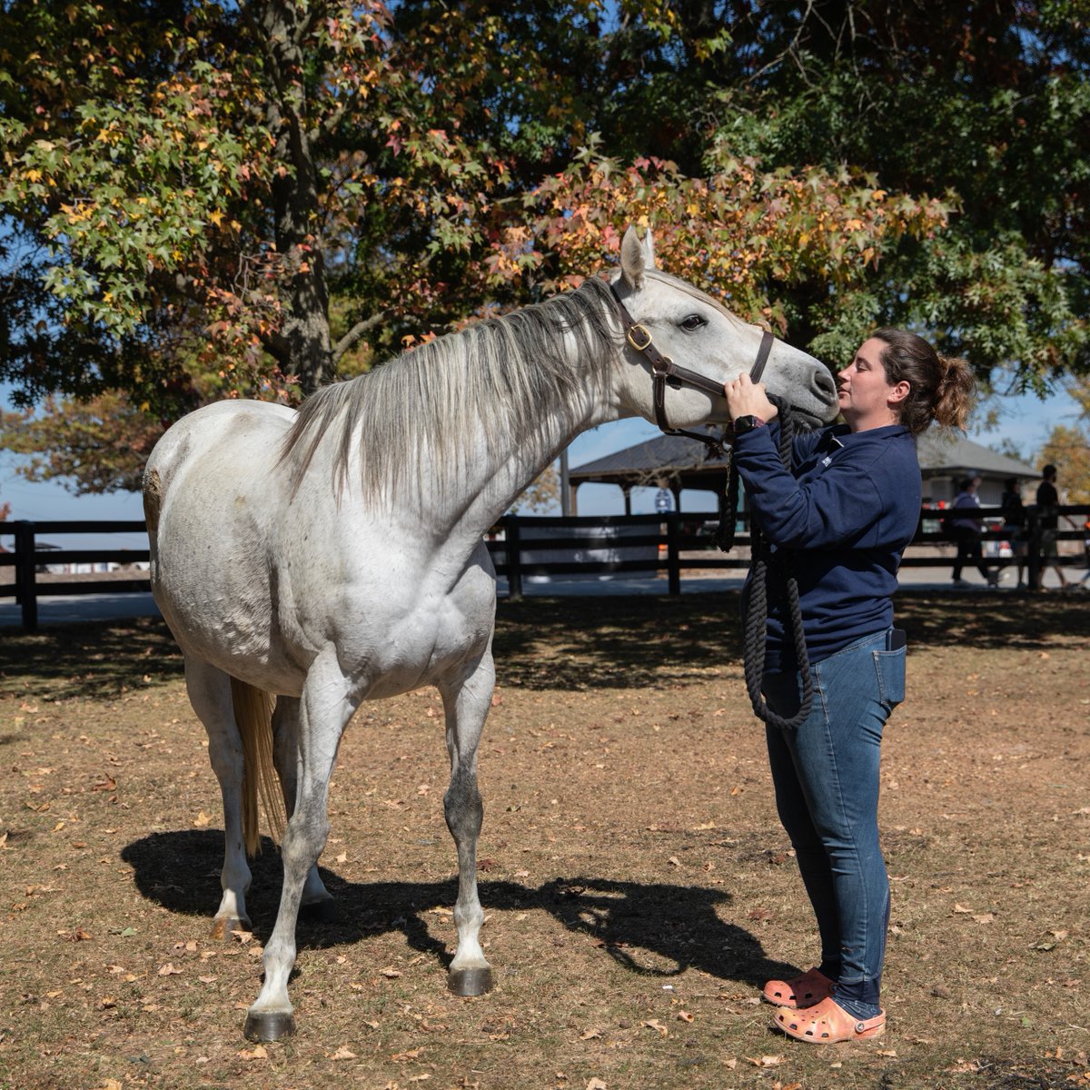 We're excited to share strategies to increase equine adoptions in our upcoming #webinar. All #equine enthusiasts, rescue directors, staff, and volunteers are welcome to join us on Tuesday, May 7 at 3:00 pm EDT. Register here. 👇 #AdoptAHorse #ASPCA aspca.zoom.us/meeting/regist…