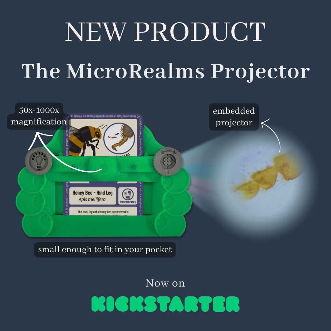 Introducing The MicroRealms Projector! 🎉 A powerful and affordable 50-1000X microscope with an embedded projector, small enough to fit in your pocket. Live on Kickstarter - get yours now: buff.ly/4b01IJV #newproduct #launch #microscopy #stem