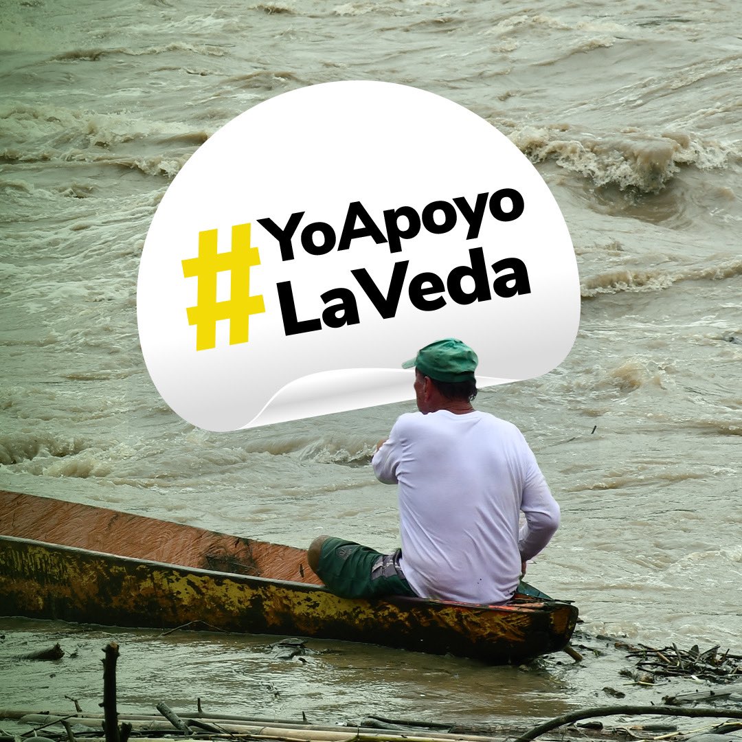 #YoApoyoLaVeda | El periodo de veda del bagre rayado va del 1 hasta el 30 de mayo, de acuerdo con lo establecido en la resolución No 0242 del 15 de abril de 1996. Esta norma prohíbe su almacenamiento, transporte y comercialización en los ríos Magdalena, San Jorge y Cauca.