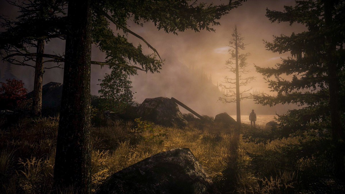 Alan Wake Revisiting some of my most treasured shots from my all-time favorite single player game. #AlanWake #VirtualPhotography #VGPWednesday