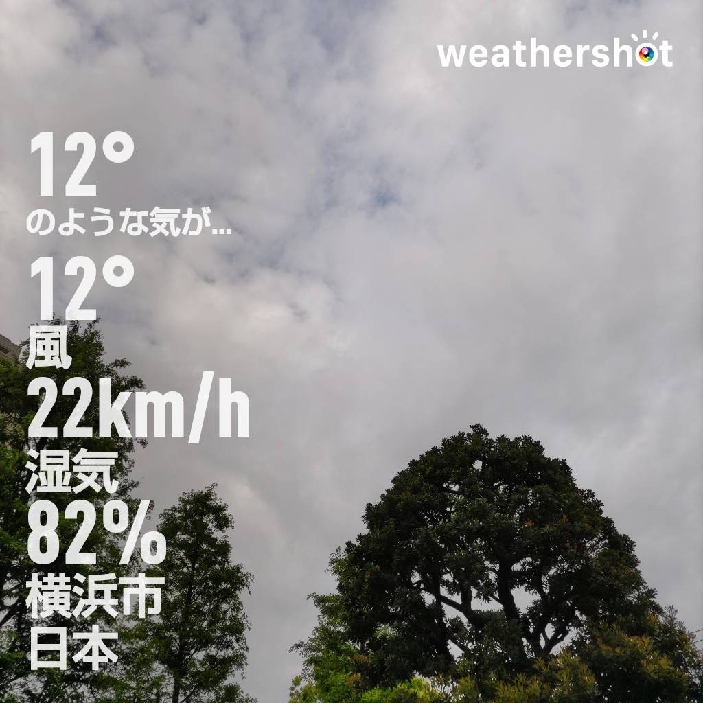 はろーわーるど。
雨はやんだ。寒い。
この寒暖差、からだにこたえるよ。
#イマソラ