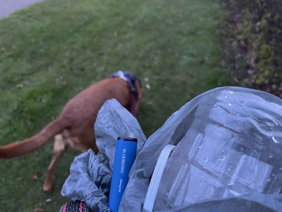 Another couple of dog bags of #litter plus a vape picked up on the evening walk in #stonehaven. It only takes a minute when we’re out anyway. 26,000 dog owners making it a normal part of every walk to protect animals, communities & the #environment. Join us! #dogsofx