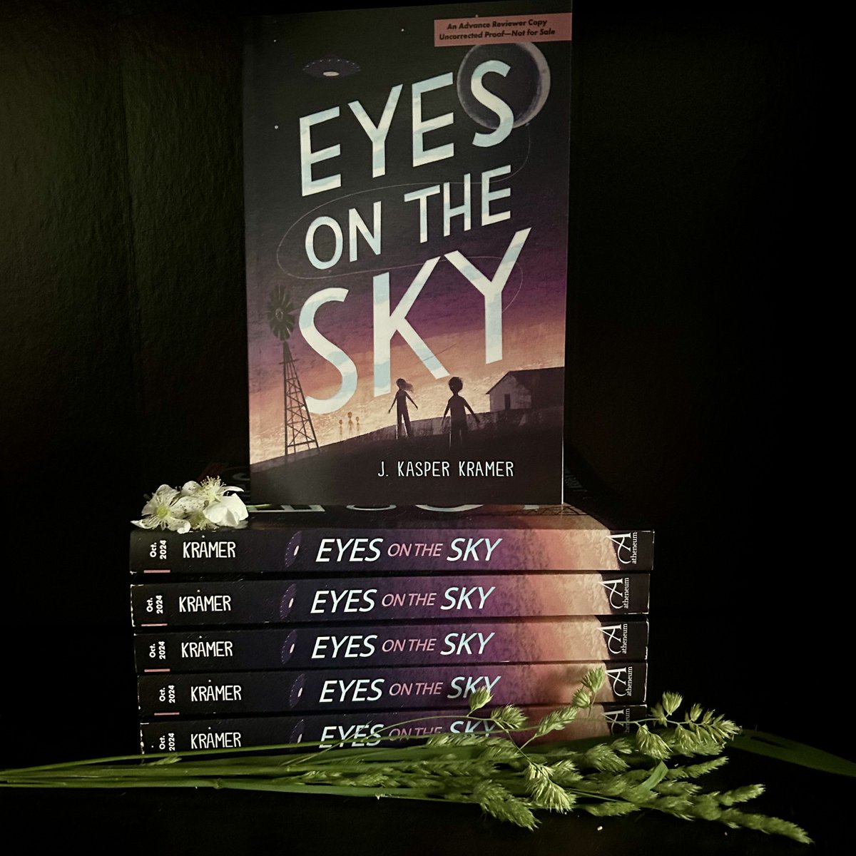 Look what just arrived! ARCs for my next MG, EYES ON THE SKY! If you're an educator, librarian, book blogger, or part of an ARC sharing group, please DM me so I can try and get you a review copy! #historicalfiction #ufotwitter #kidlit