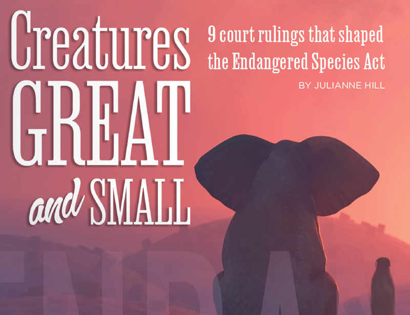 Great and Small: 9 court rulings that shaped the Endangered Species Act. ow.ly/EKLN50R548A #animallaw @juliannehill