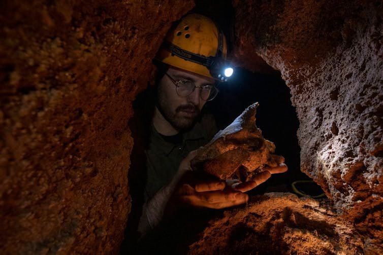 We spent 2 years in deep underground caves to bring this extraordinary fossil to light.

@museumsvictoria #fossil #palaeontology #paleontology #CaveExploration #AncientDiscoveries #Prehistoric #ScientificDiscovery #Cave #NaturalHistory

buff.ly/3JG77dm