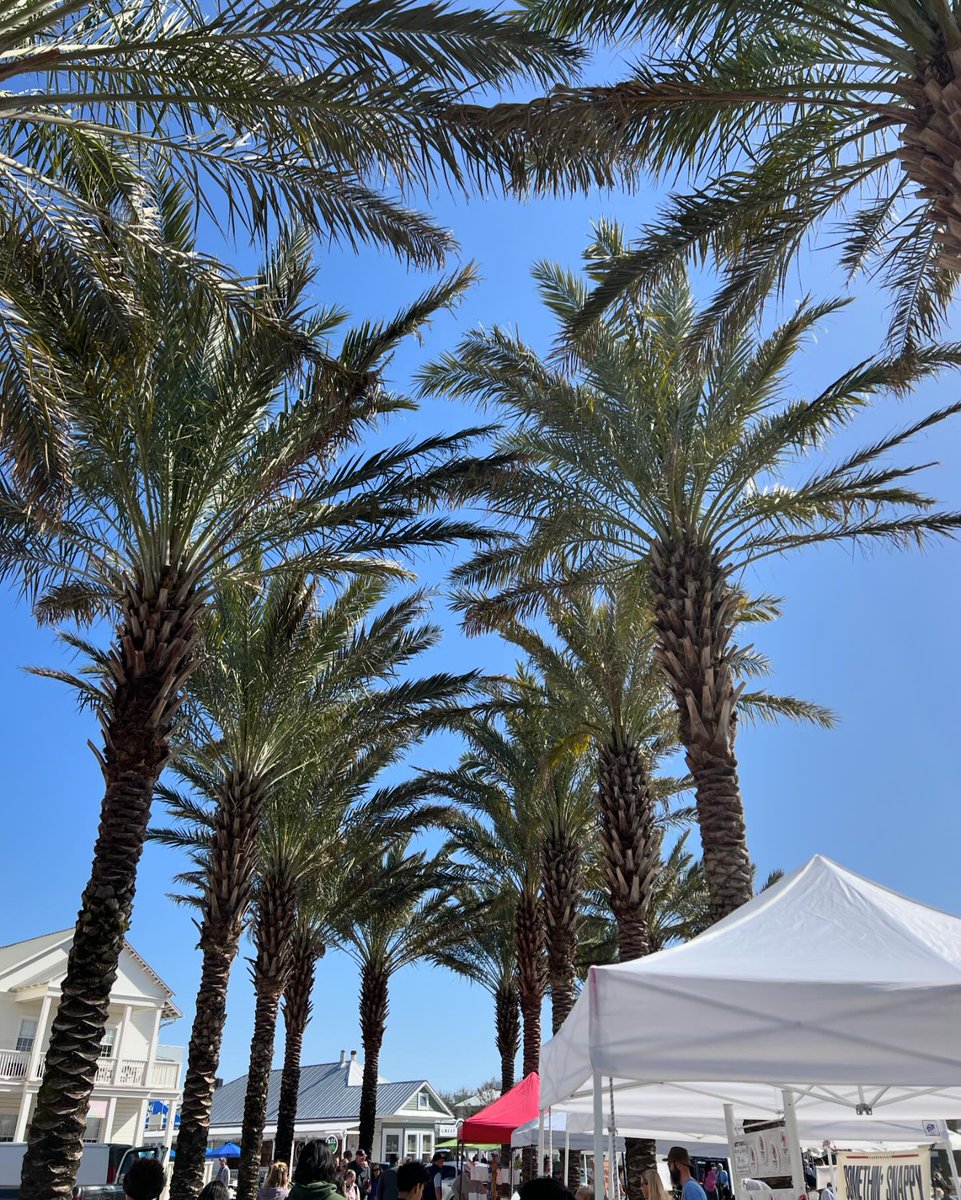 Looking for something 🆕 to try on your #SouthWalton vacation? Check out our events calendar for fun activities fit for the whole family: ow.ly/uMrV50Rovv7 

📸: happyhealthyhanfitz on Insta