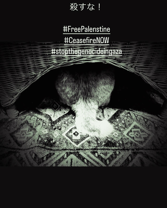 殺すな！

#FreePalenstine
#CeasefireNOW
#stopthegenocideingaza