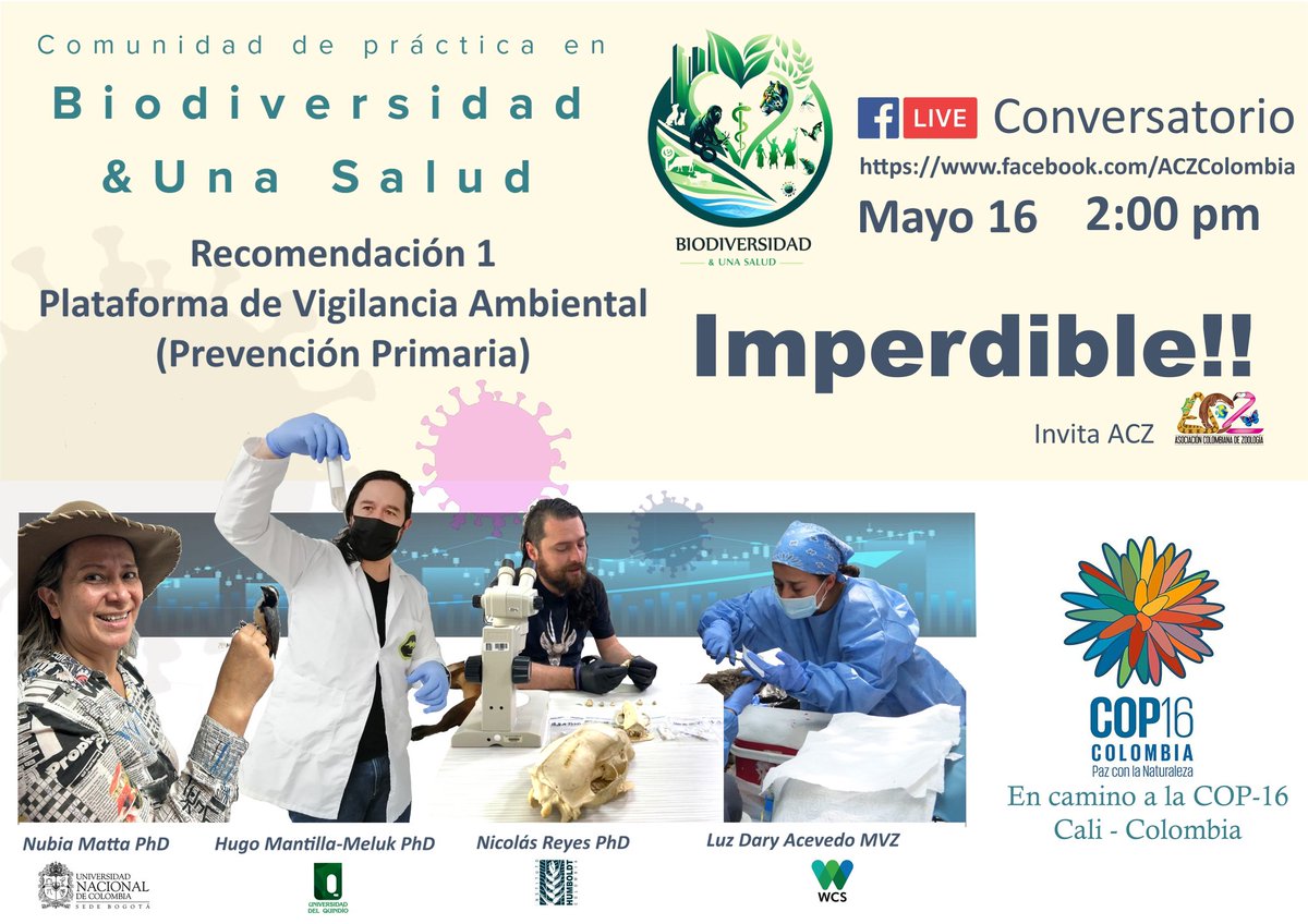 🔜📢 En la ruta #COP16
Los/as invitamos al conversatorio donde hablaremos de  nuestra primera recomendación sobre vigilancia ambiental como herramienta de prevención primaria.
Te esperamos el 16 de mayo 2:00 pm
Visita nuestra página web y conoce la carta abierta.
@biodiversalud