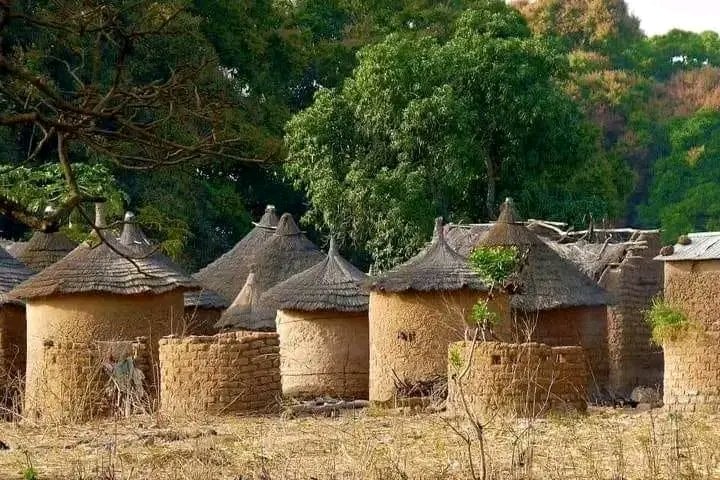 Une vie sans 🌴 nature, c est comme vivre dans l enfer total🌿 Protégeons 🌳la nature , enfin qu elle nous🌱 protège au retour 🍃 @Guillaume0905Kl @RiseUpCongo @worldgreendlp