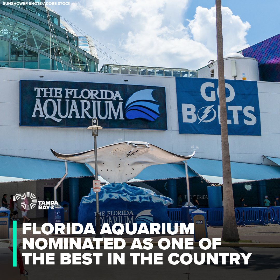 BEST IN THE COUNTRY? 🐟🐠🐡 Yup! Tampa Bay's very own Florida Aquarium is up for Best Aquarium in USA Today's 10Best Reader's Choice Awards 2024. Wanna vote & show your support? Tap here: wtsp.com/article/entert…