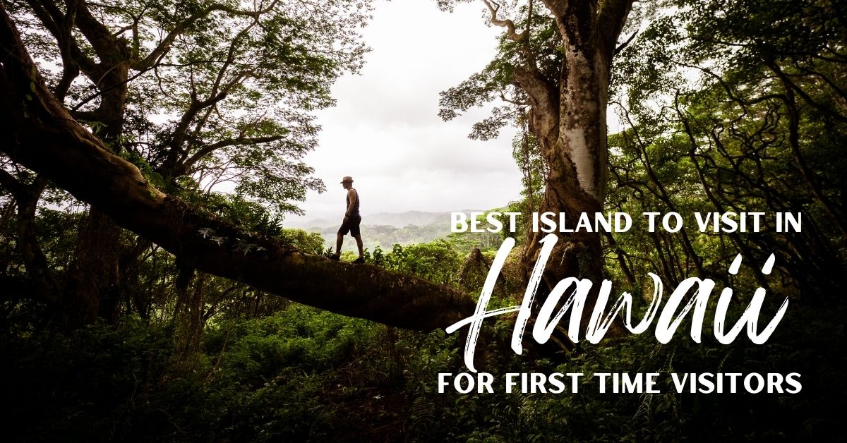 From the best surfing spots, to the best places to hike, we'll let you know the best island for each. goaw.pl/3JIxzD1 @gohawaii @gohawaiica #lethawaiihappen