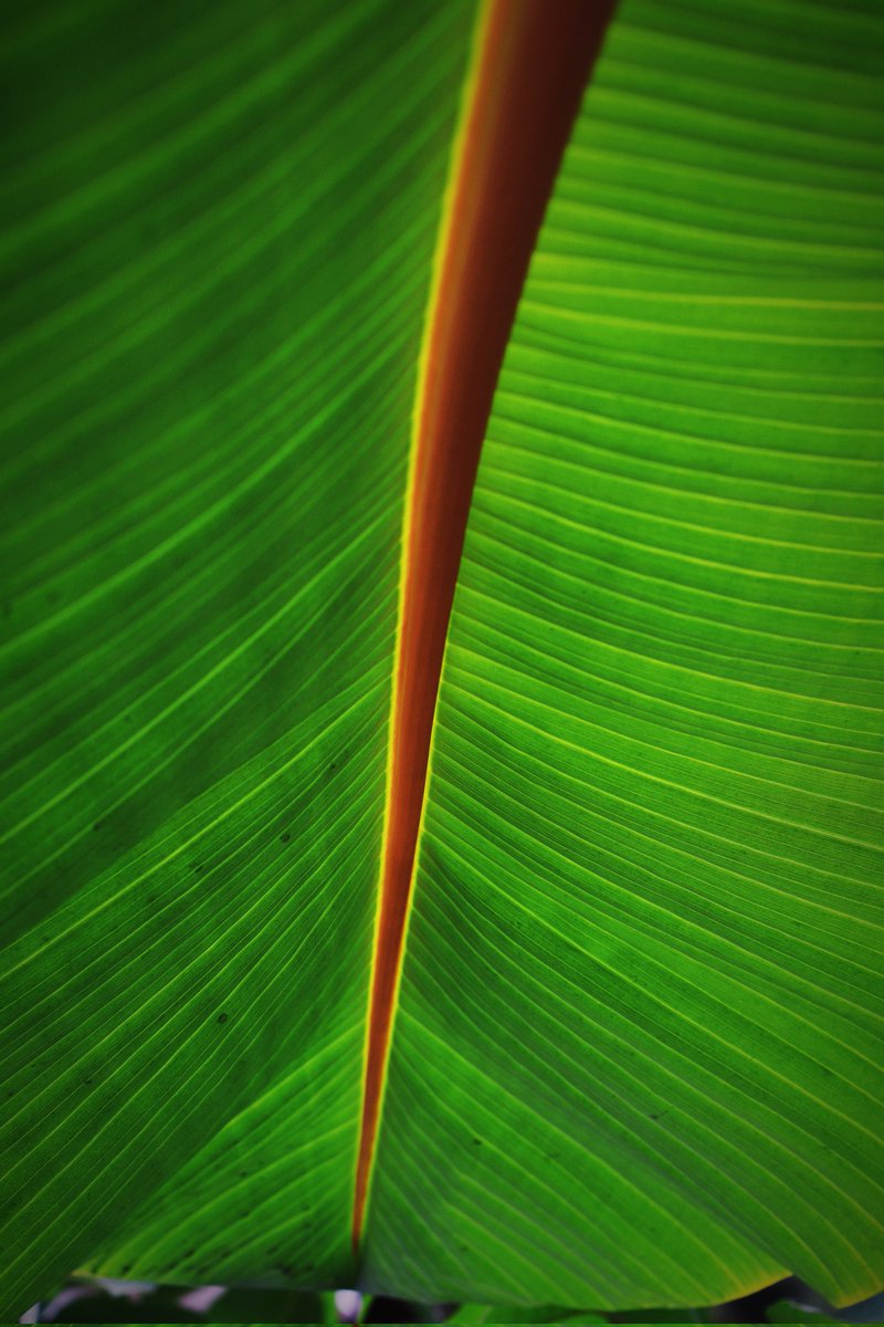 No imaginas cuánto de desenfocado tenías el objetivo. Cuando te atreves a abrir,  asumes las consecuencias. Se difumina lo que atesorabas, la realidad que creías ver. Es una oportunidad para acercarnos a lo que nos une. Sin duda, lo único que nos puede salvar. 
La Comunitaria.