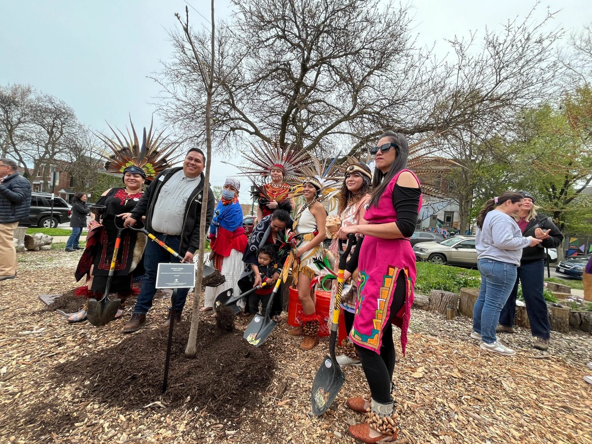 A huge milestone for Openlands as we plant our 10,000th tree in Malinalli Garden Little Village! Learn more about our commitment to expanding Chicago's tree canopy and nurturing a vibrant urban culture: ow.ly/4wE750Ru82h