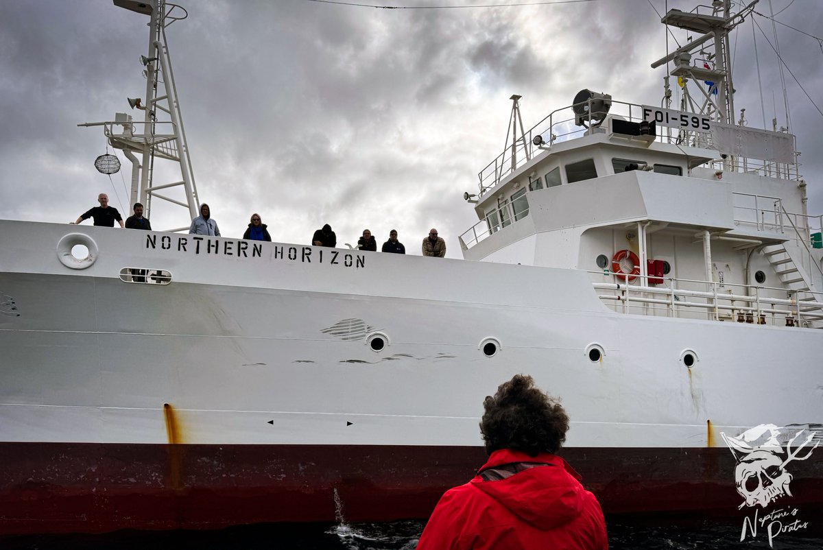 NEW VESSEL ALERT! The Captain Paul Watson Foundation has just acquired The Bandero, a former Japanese Fisheries Patrol ship, to combat illegal whaling in the Southern Ocean Whale Sanctuary. The vessel, which has just sailed from Busan, Korea, will dock in Hobart, Tasmania. READ