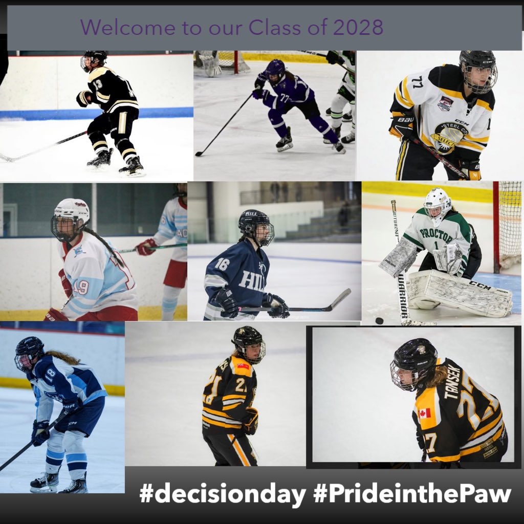 We are excited to be currently welcoming In 9 new faces to our program! Stay tuned this month as we introduce our incoming class of recruits! #decisionday #PrideinthePaw @chathamu @chathamuadmissions @chathamcougar @DIIIHockeyNews