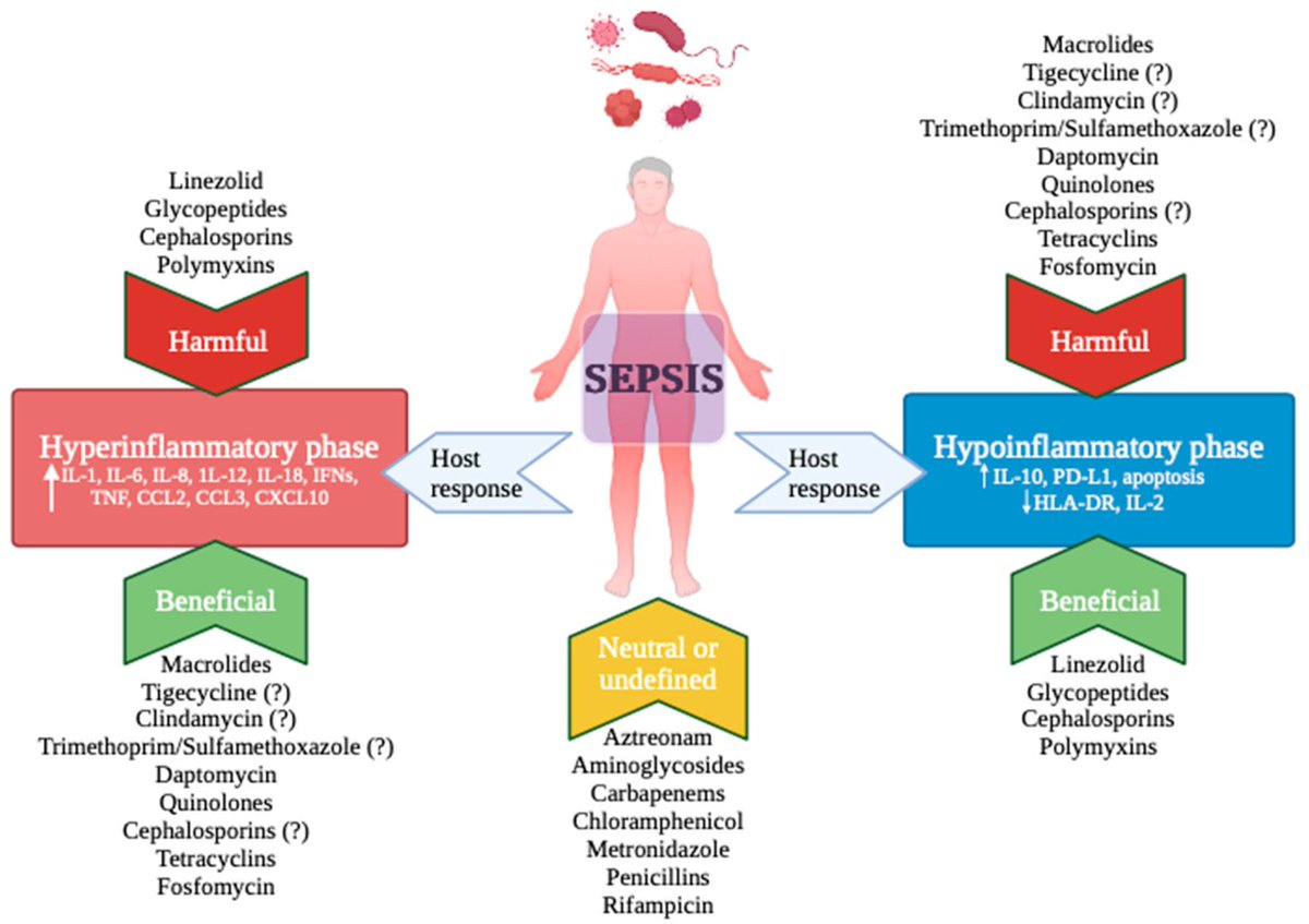 The Interplay between Antibiotics and the Host Immune Response in Sepsis CCR Journal Watch criticalcarereviews.com/latest-evidenc… Get the latest critical care literature every weekend via the CCR Newsletter - subscribe at criticalcarereviews.com/newsletters/su…