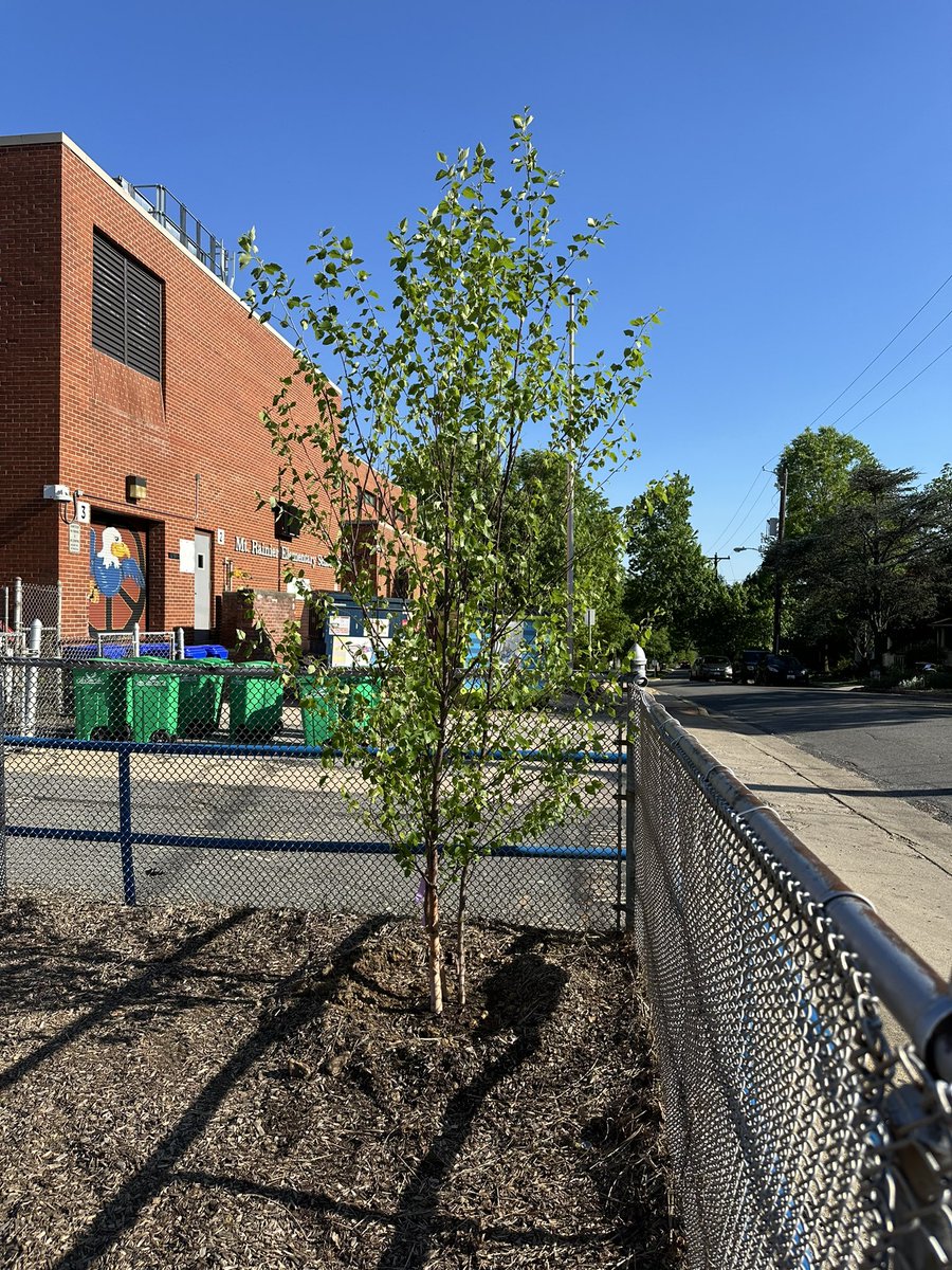 Mount Rainier Elementary PTO tweet media
