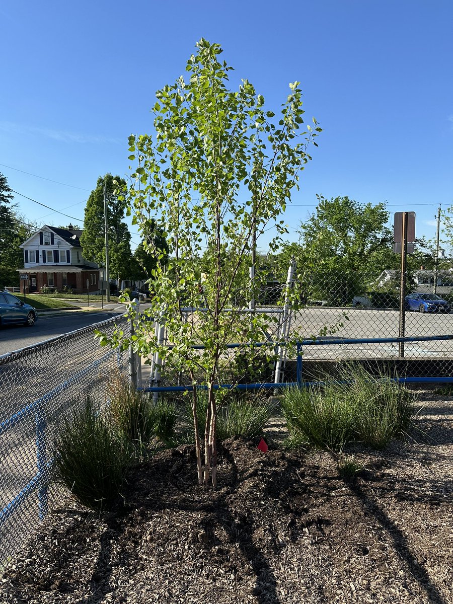 Mount Rainier Elementary PTO tweet media