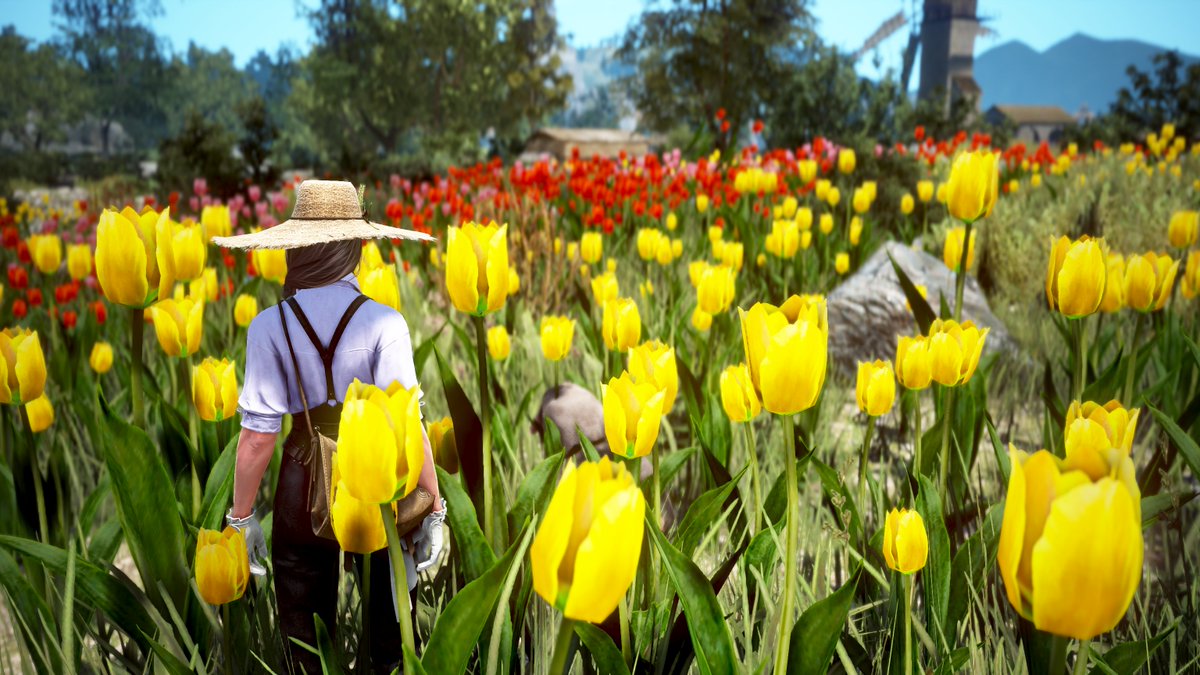 誰！？
こんなところにまでチューリップ植えたの！！
ただでさえ生花は鮮度が命なんだから早く収穫して
マンドゥさんの薫香運送に急いで発送お願いしなきゃ💦
🌷🌷🚚=3
#黒い砂漠PC #BlackDesertOnline