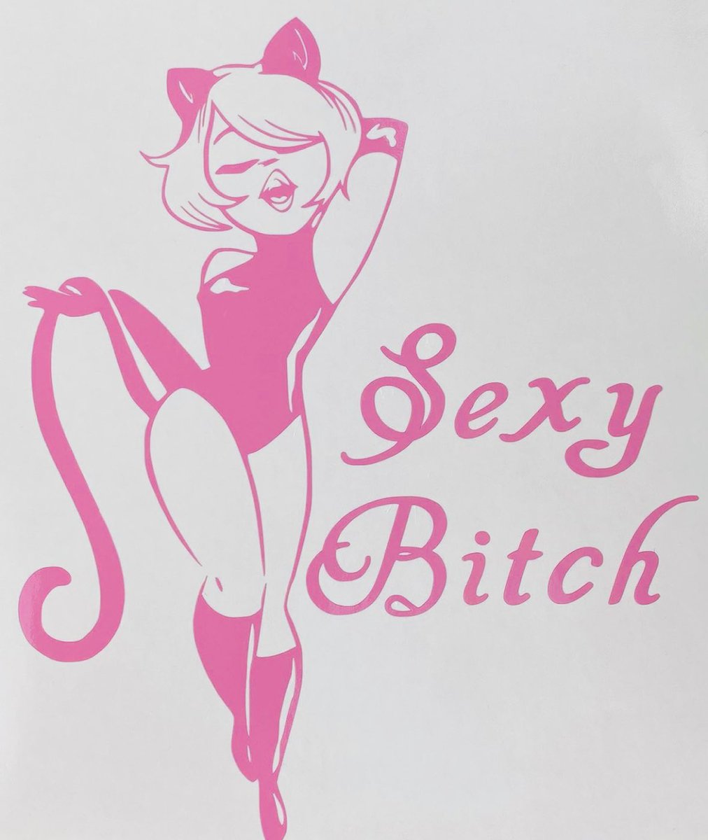 Check out Sexy Bitch, Cat Woman, Pink Vinyl Decal Sticker New Gift  ebay.com/itm/2667928159… #eBay via @eBay