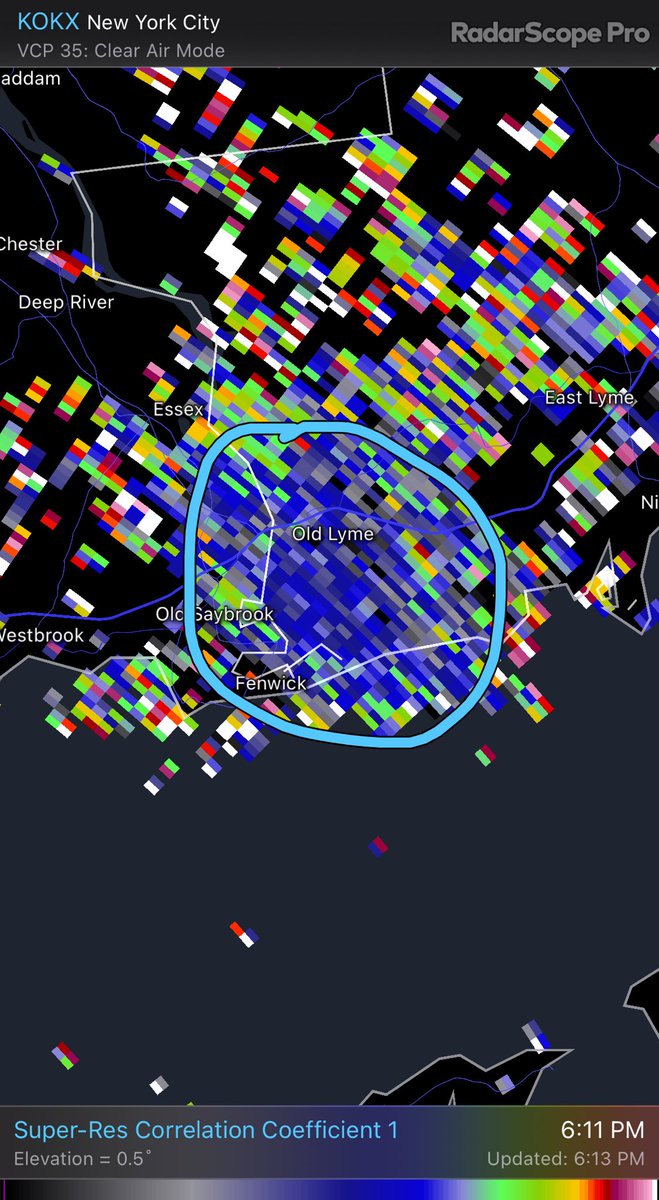 Not rain on the radar! Tree swallows flying, getting to roost on Goose Island in Old Lyme.