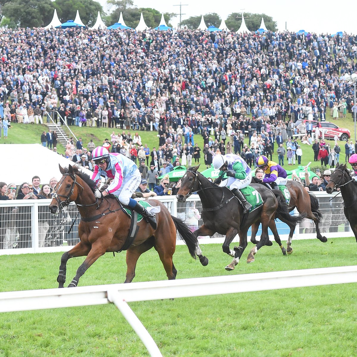 Bring on Grand Annual Day at the 'Bool today! 💪 📸 Racing Photos