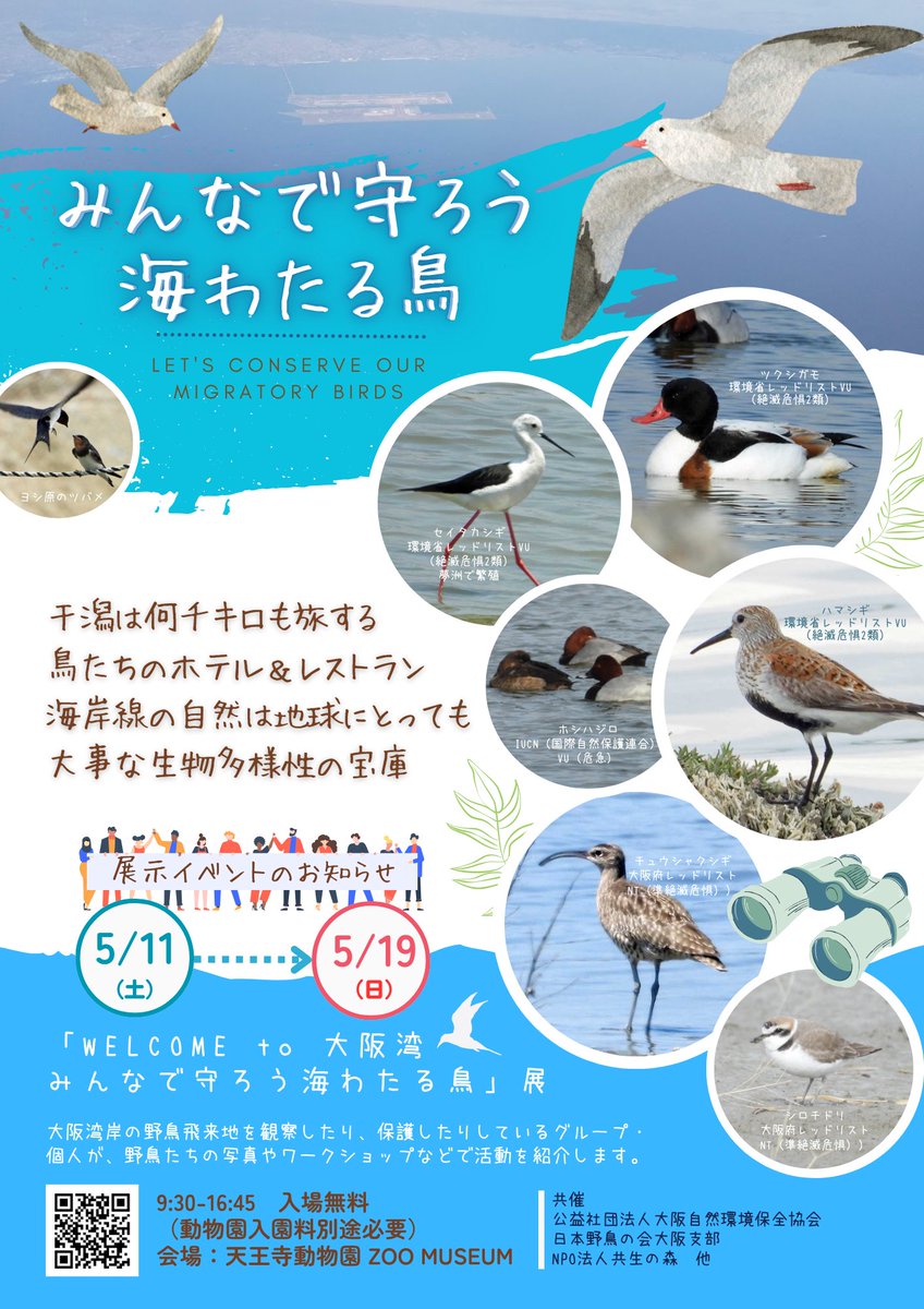 「Welcome to  大阪湾   
　　　みんなで守ろう！海わたる鳥」を
　開催いたします。
🪶場所：天王寺動物園内Zoo Museum
🦆夢洲など大阪湾のフィールド紹介や渡来する水鳥などの写真を中心
🐟5/11（土）～19（日）無料（動物園入園は有料）
🦀土日は紙芝居やお話あり
🐝詳細はnature.or.jp/action/yumeshi…