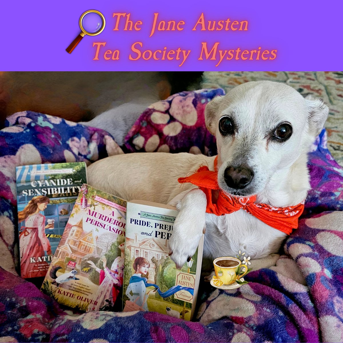 Jane Austen Tea Society 🔎 PRIDE, PREJUDICE & PERIL bit.ly/3v1clZ5 #audiobook 📗 adbl.co/3nEsnF0A MURDEROUS PERSUASION bit.ly/3zwpYmV #audiobook 📕 bit.ly/4avkMzY CYANIDE & SENSIBILITY bit.ly/466EyPR #audiobook 📘…