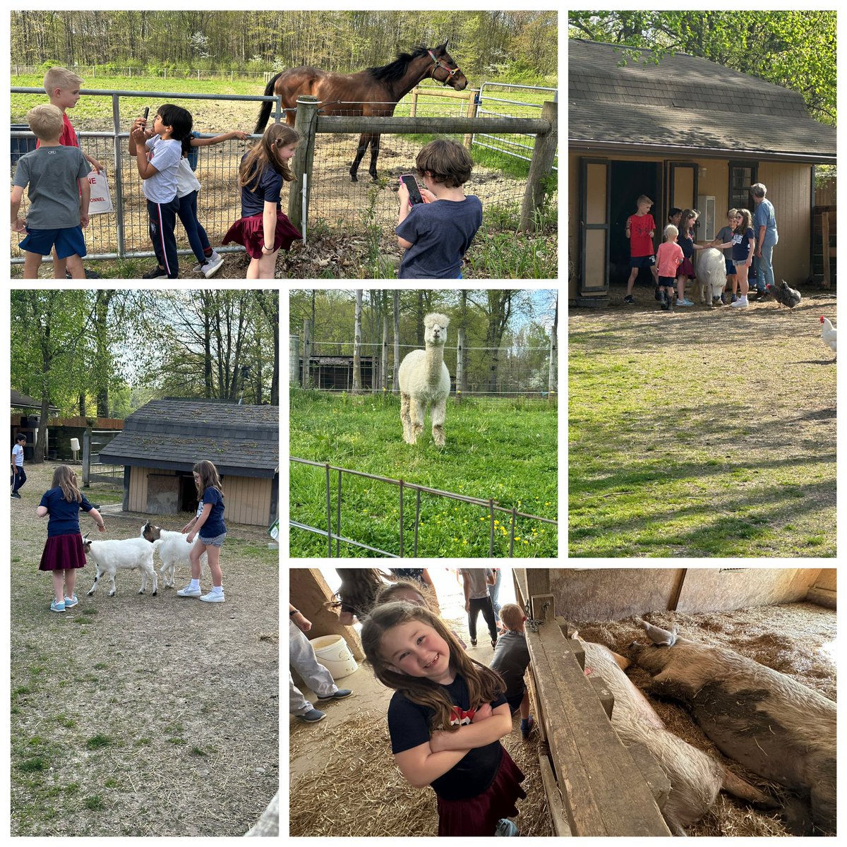 My amazing 1st graders made and sold $650 of keychains during our economics PBL in December. Today, some of the kids and families helped me deliver our donations to Happy Trails Farm Animal Sanctuary in Ravenna! So proud 🥹