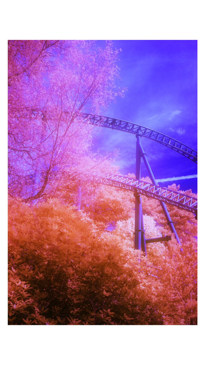 simsnotebook's tweet image. Morning, some #infrared experiments of fauna and coasters at @altontowers
