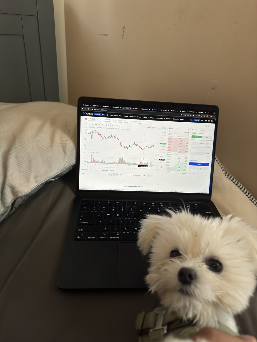 ASKED MY FINANCIAL ADVISOR WHATS THE PLAY HE SAID …. $DOG @LeonidasNFT