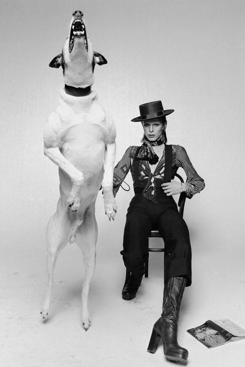 Crawling down the alley on your hands and knees I know you're not protected, for it's plain to see The diamond dogs are poachers and they hide behind trees Hunt you to the ground they will, mannequins with kill appeal ⚡️✨ #DiamondDogs #Singles 📷Terry O’Neill