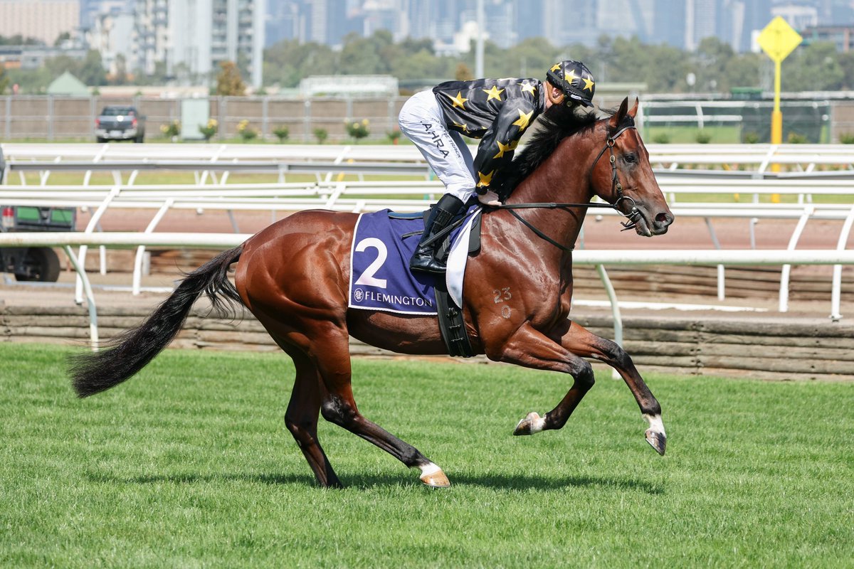 KING COLORADO 👑 We are thrilled to announce, retiring to stud at #WiddenVictoria is blue-blooded Group 1 winning juvenile King Colorado, at a fee of 💲16,500inc. ‼️The first Australian Group 1 winning 2YO to retire to a Victorian Stud in 4️⃣ years. ‼️