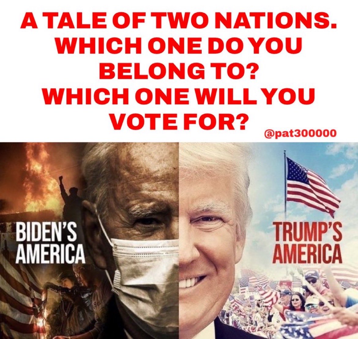 Trump is trying to save America. Sociopath Biden wants to end America. This is what the 2024 election is about. America's survival. See Trump video below.