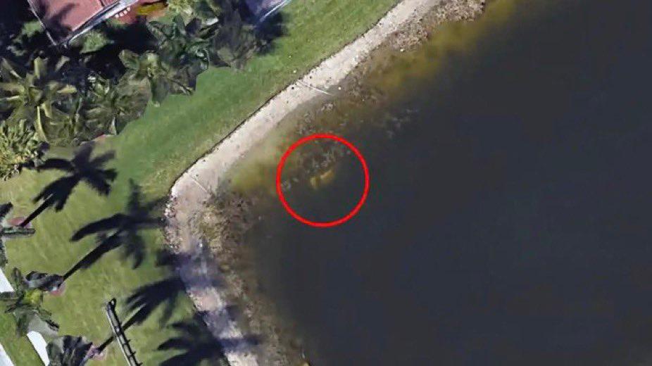 Florida'daki eski mahallesini kontrol etmek için Google Earth'ü kullanan bir adam, 22 yıldır kayıp olan bir adamın arabasının sığ bir göle battığını ortaya çıkardı.

Kalıntılar, 1997 yılında 40 yaşındayken bir gece kulübünden ayrıldıktan sonra kaybolan William Moldt'a aitti.