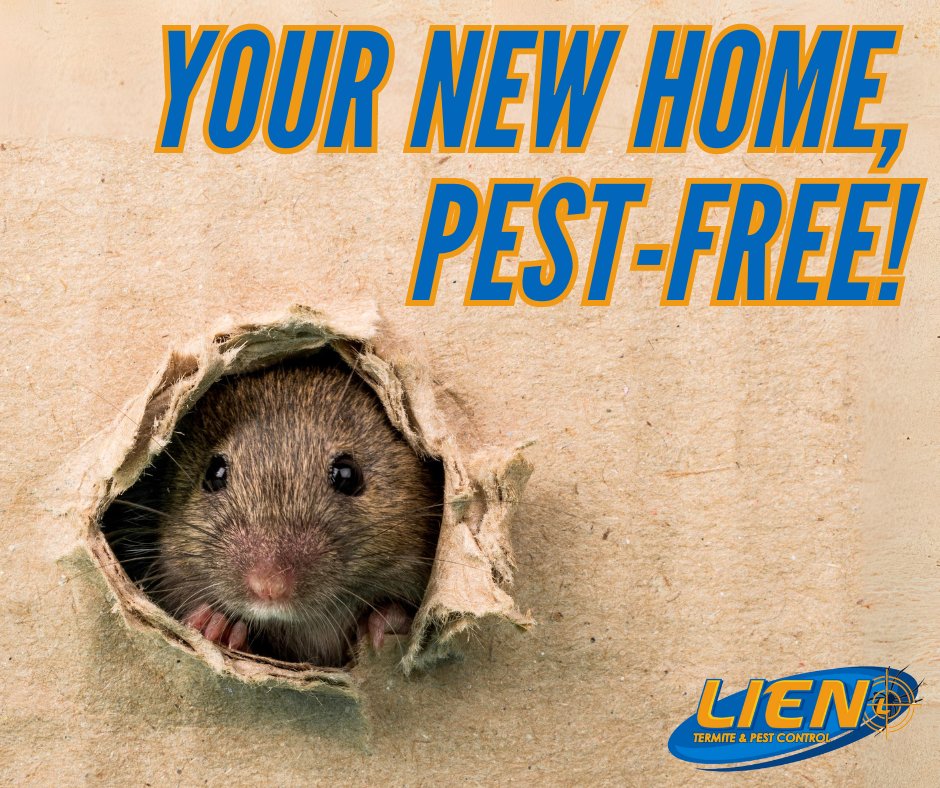 Happy New Homeowners Day! For first-time buyers, growing families, and relocators, there's nothing like the feeling of home, especially a pest-free one! Contact Lien Termite & Pest Control for a free estimate for your home sweet home. #newhomeownersday #pests #lientermite