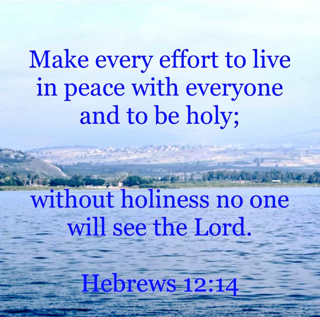 Hebrews 12:14 #effort #live #peace #everyone #beholy #be #holy #hebrews #12 

#bible #bibleverse #biblequotes #quote #quotesforlife #god #hallejuah #thanksbetogod #love #protection #happy #joy #destiny #path #inthespirit #blessed